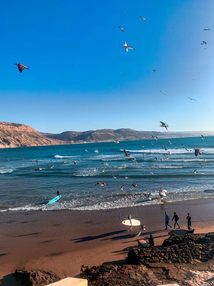 Taghazout surf Morocco waves seagulls beach