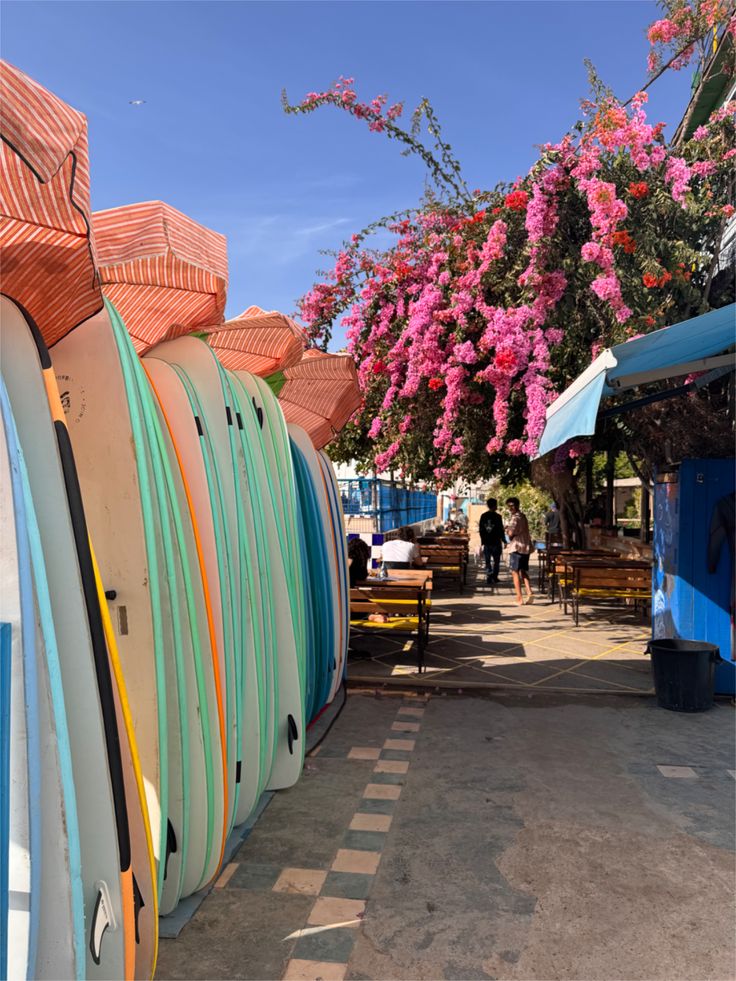 surfboards Taghazout Morocco surf school cafe bougainvillea