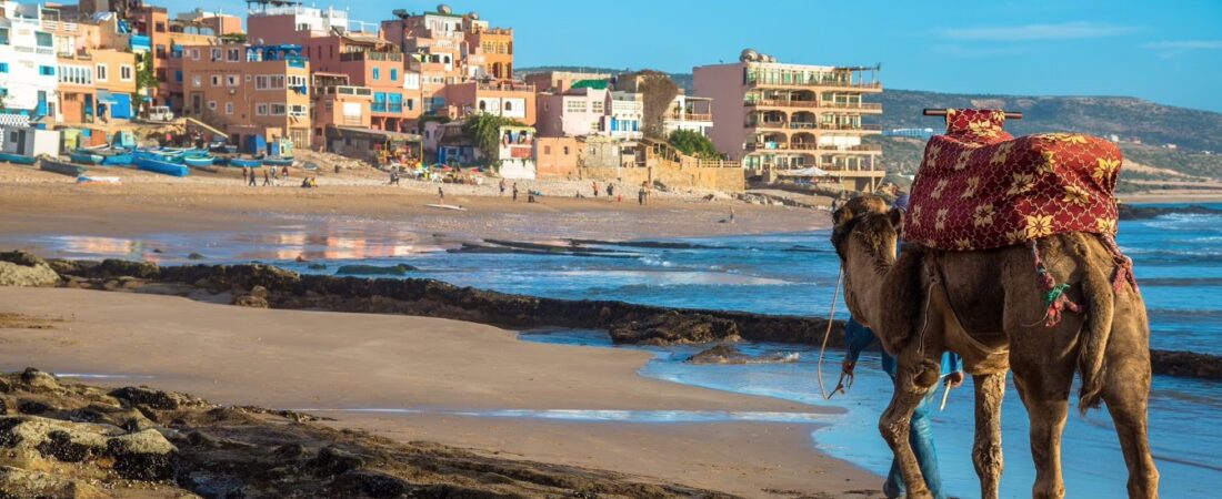 Taghazout Surf Morocco: The Complete Guide to Morocco’s Surf Capital